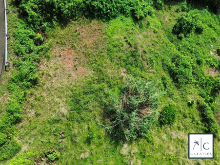 Vente terrain 138 000 €  Ducos