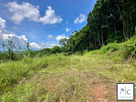 Terrain sur Ducos ; 138 000 €  ; A vendre Réf. CAR206