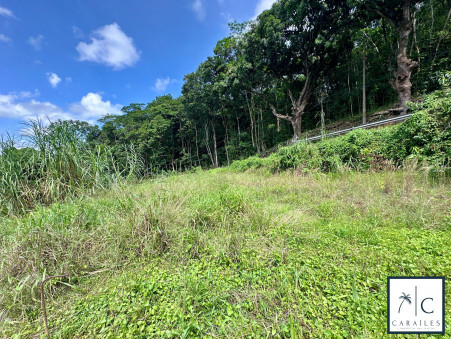 A vendre terrain Ducos 97224; 138 000 € 