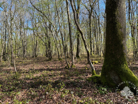 Achat terrain Nerondes Réf. 1514