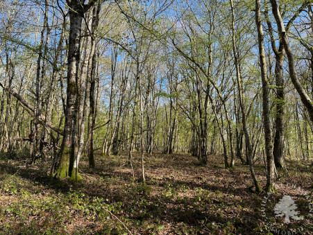 Terrain 157 500 €  sur Nerondes (18350) - Réf. 1514