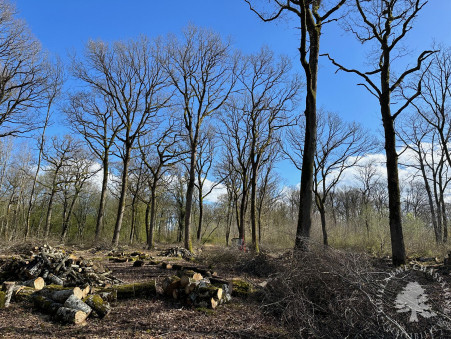 Vente terrain 157 500 €  Nerondes