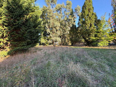 Terrain 42 850 € Réf. 451 Gennes Val de Loire