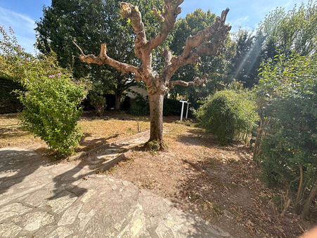 Maison 900 €  sur Montauban (82000) - Réf. 439G