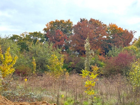 Maison sur Ste Marie aux Chenes ; 291 000 €  ; Achat Réf. 2803_bis_1