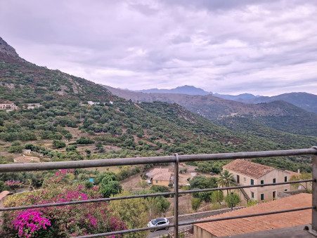 Vente maison 484 000 €  Corbara