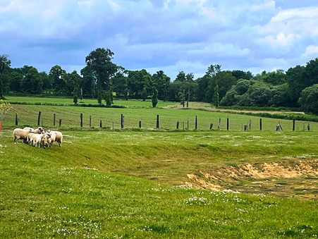 Maison 240 900 € Réf. 705 Romille