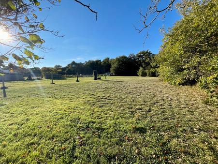 Achat maison Dolus-d'Oléron Réf. 3703