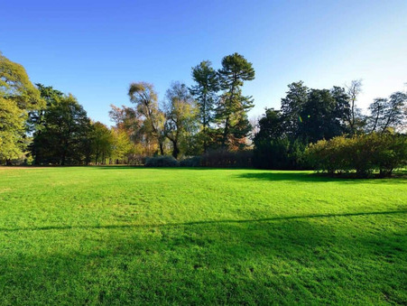 A vendre terrain Biscarrosse 40600; 179 000 €