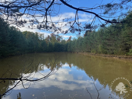 Achat terrain Allogny Réf. 1515