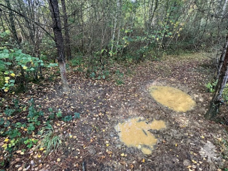 A vendre terrain Allogny 18110; 75 600 €