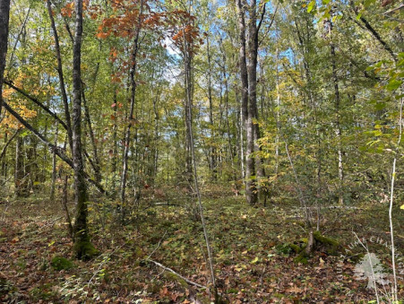 Terrain sur Allogny ; 75 600 € ; A vendre Réf. 1515