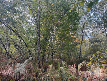 Terrain 75 600 € Réf. 1515 Allogny