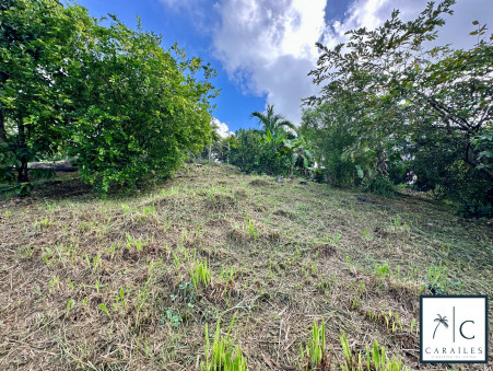 Maison 389 000 €  sur Ducos (97224) - Réf. CAR217