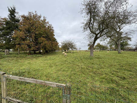 Vente Maison BUST Réf. 2371 - Slide 2