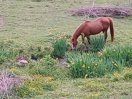 Vente Maison VIMOUTIERS Réf. 9256G - Slide 4
