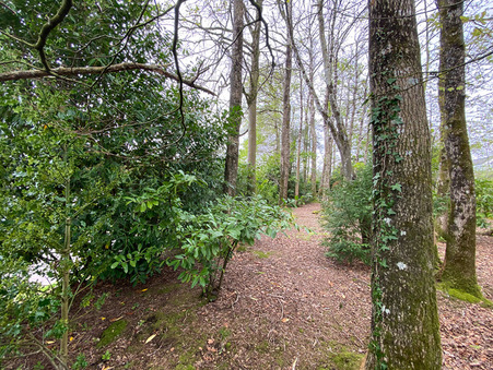 Achat maison Landerneau Réf. 25285AK