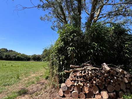 Vente maison 384 900 € Guilers