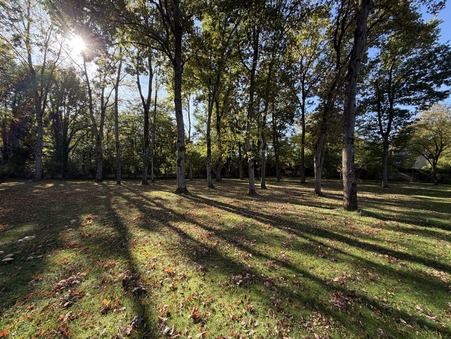 Maison 385 000 €  sur Nemours (77140) - Réf. 212886