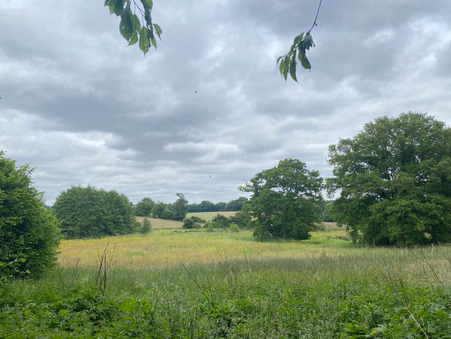 Achat maison Montenay Réf. M711385