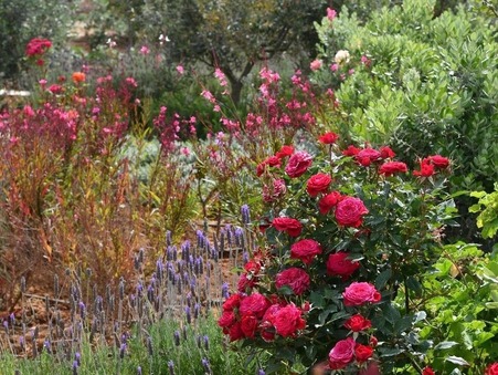 Location Maison Paros Réf. PLP-36 - Slide 11