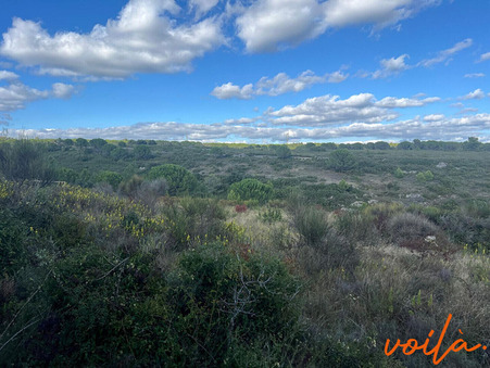 Terrain 107 000 &euro;  Réf. CAPITELLES Carcassonne