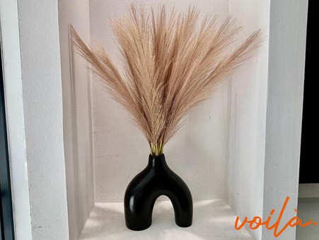 Maison 320 000 &euro;  Réf. JASMIN Carcassonne