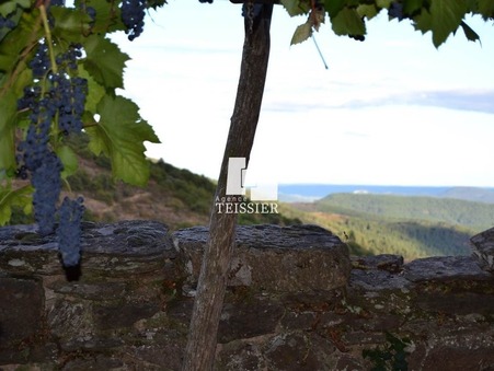 A vendre maison Malons et Elze 30450; 205 000 € 