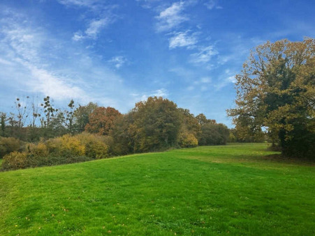 Vente maison 250 000 € Chailland