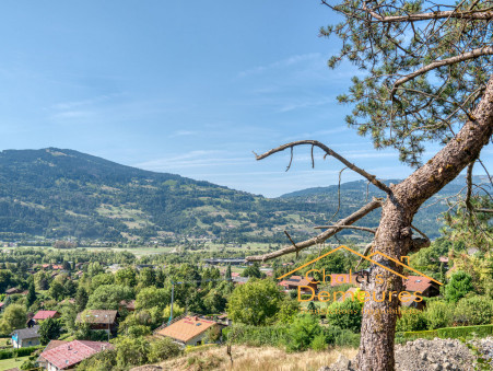 Vente terrain 220 000 € Passy