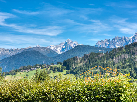 Vente maison 3 400 000 &euro; Demi Quartier