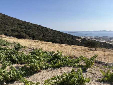 Vente Terrain Paros Κωδικός929PLP - Slide : slide