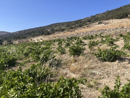 Vente Terrain Paros Κωδικός929PLP - Slide : slide