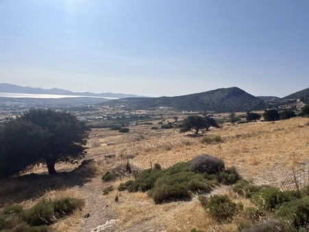 Vente Terrain Paros Κωδικός929PLP - Slide : slide