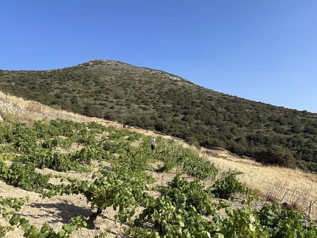 Vente Terrain Paros Κωδικός929PLP - Slide : slide