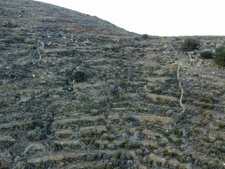 Vente Terrain Serifos Ref :SERIFOS999 - Slide 7