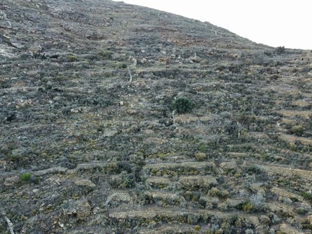 Vente Terrain Serifos Ref :SERIFOS999 - Slide 9