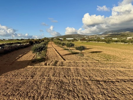 Vente Terrain Paros Réf. 959PLP - Slide 5