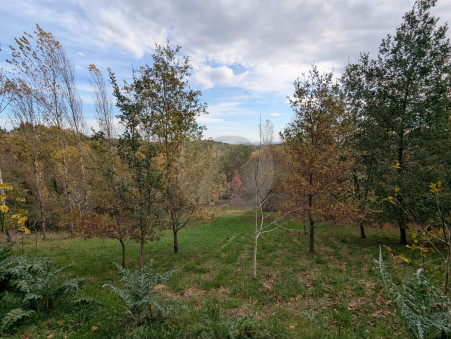 Vente maison 325 000 €  Gaillac