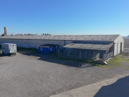 Achat entrepôt Saint-Jean-de-Losne Réf. 7871