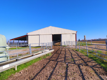 Entrepôt 650 000 €  sur Saint-Jean-de-Losne (21170) - Réf. 7871