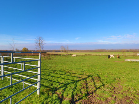 Vente entrepôt 650 000 €  Saint-Jean-de-Losne