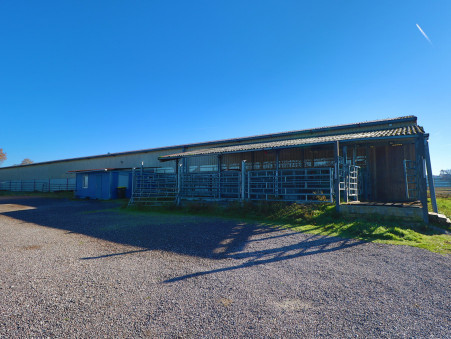 A vendre entrepôt Saint-Jean-de-Losne 21170; 650 000 € 