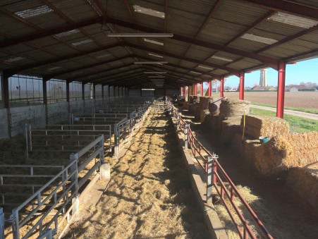 Entrepôt sur Saint-Jean-de-Losne ; 650 000 €  ; Vente Réf. 7871