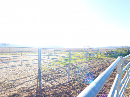 Entrepôt sur Saint-Jean-de-Losne ; 650 000 €  ; A vendre Réf. 7871