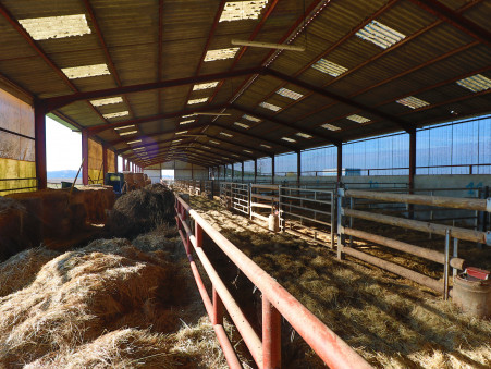 Entrepôt sur Saint-Jean-de-Losne ; 650 000 €  ; Achat Réf. 7871