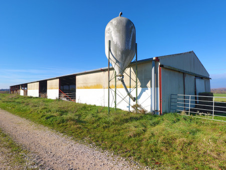 Entrepôt 650 000 €  sur Saint-Jean-de-Losne (21170) - Réf. 7871