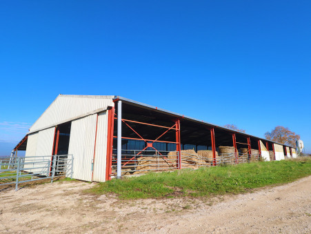 Achat entrepôt Saint-Jean-de-Losne Réf. 7871