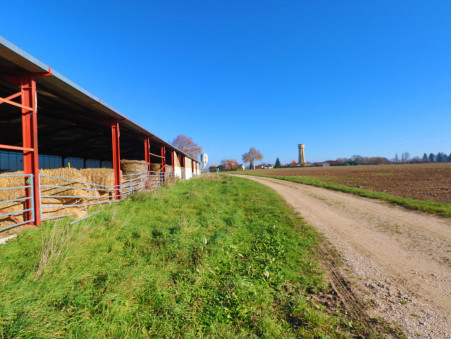 A vendre entrepôt Saint-Jean-de-Losne 21170; 650 000 € 