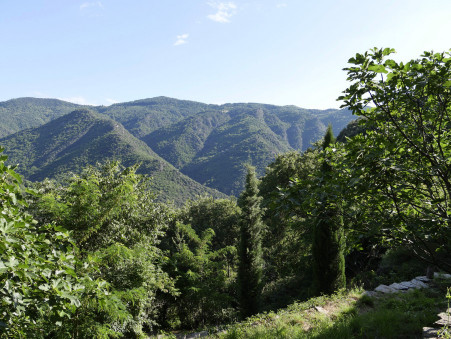 A vendre maison Malarce sur la Thines 07140; 109 000 € 